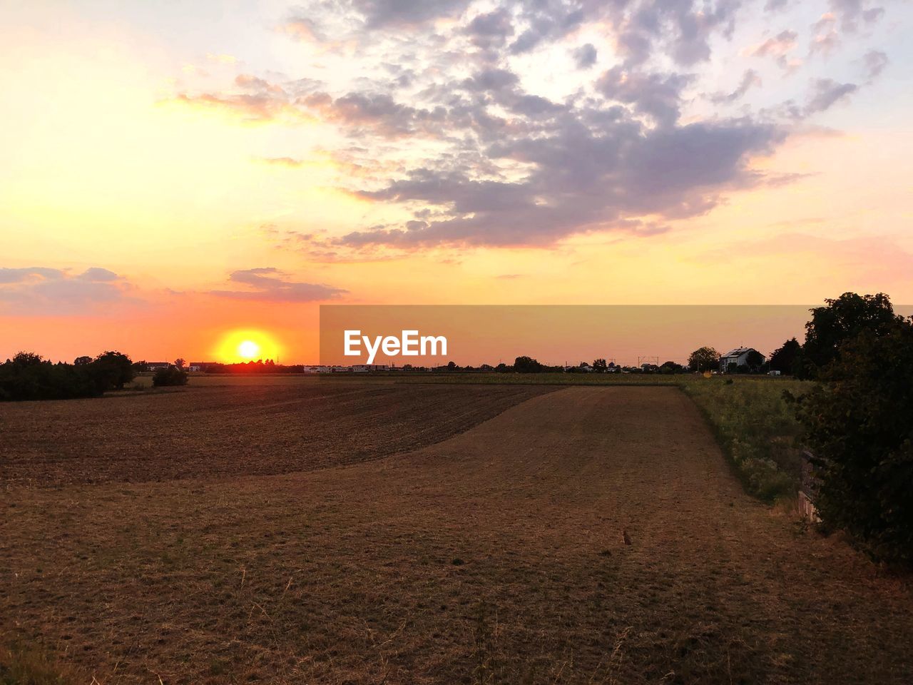 SCENIC VIEW OF AGRICULTURAL LANDSCAPE AGAINST SKY DURING SUNSET