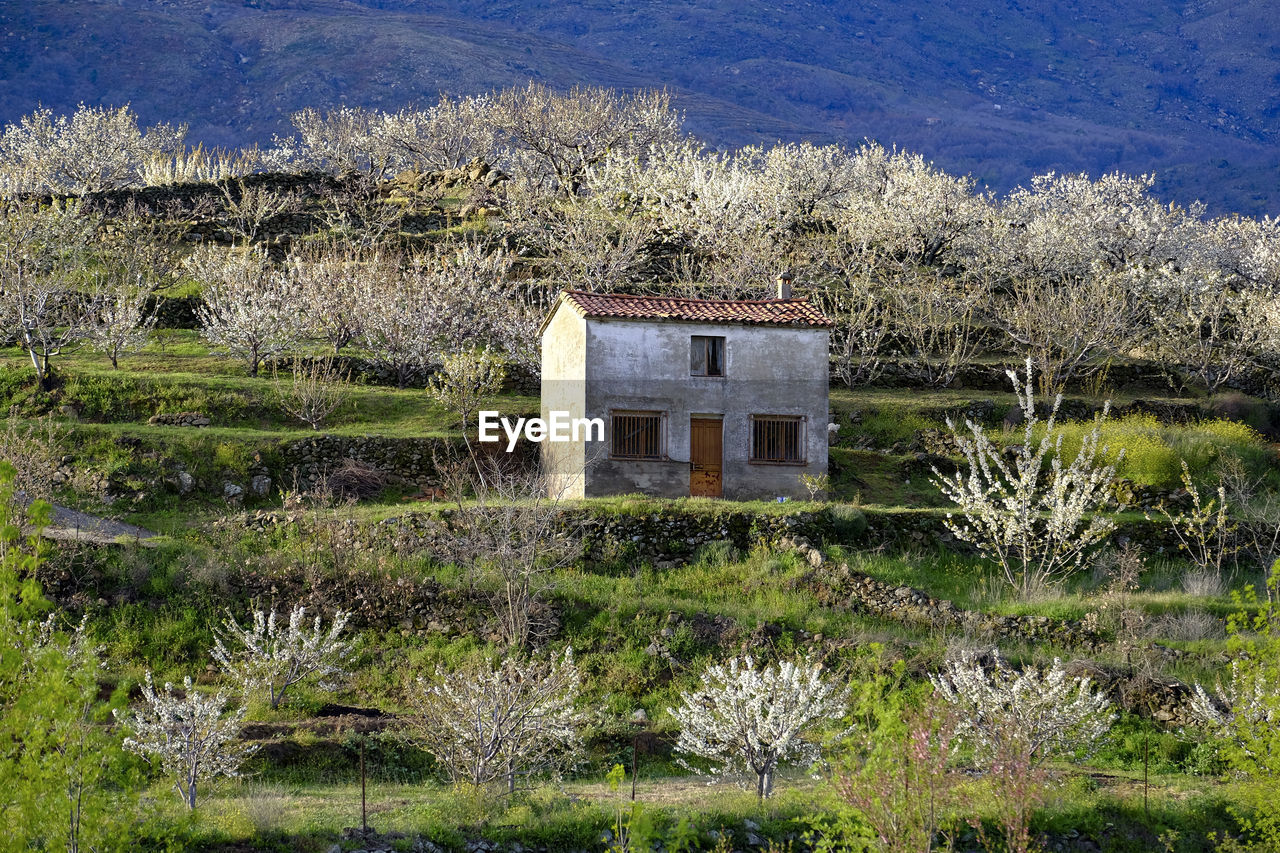 HOUSE AND TREES ON FIELD AGAINST LAKE