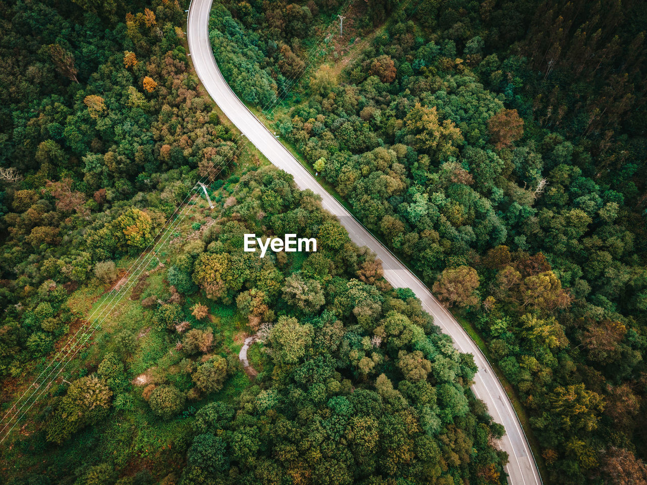 Spectacular drone view of roadway with driving cars leading through amazing green woods