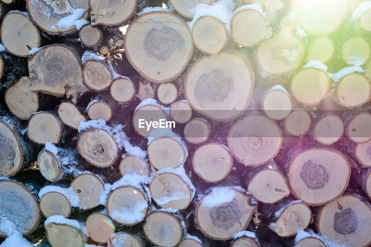 Full frame shot of logs during winter