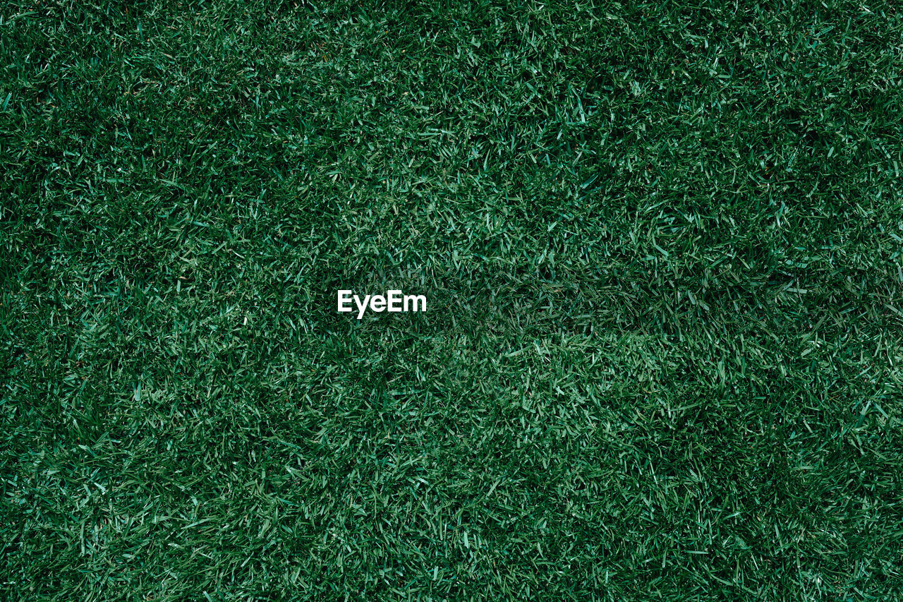 Lush green lawn in a trendy color look, sports turf, soccer turf, meadow