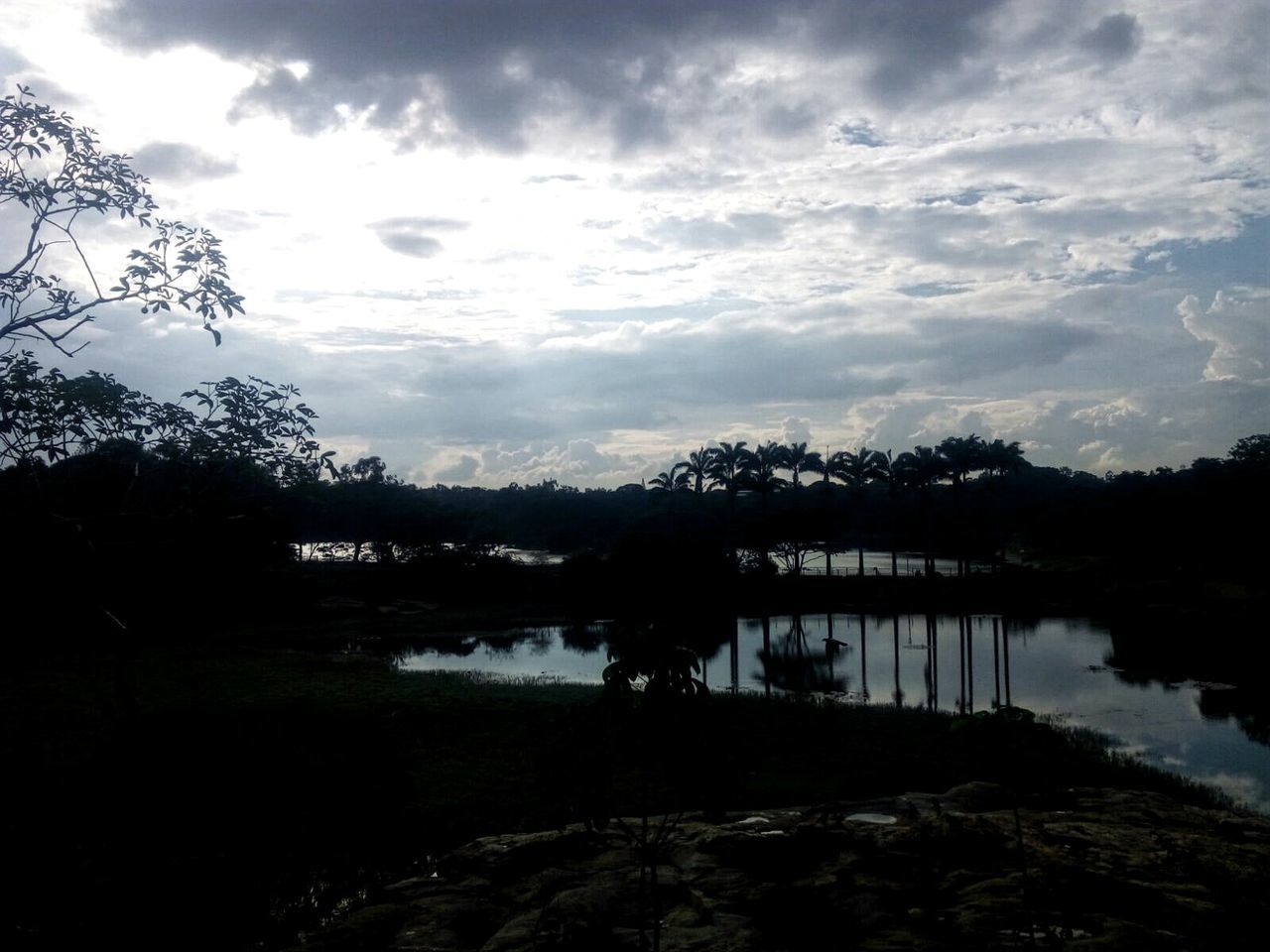 Silhouette plants by calm lake against the sky