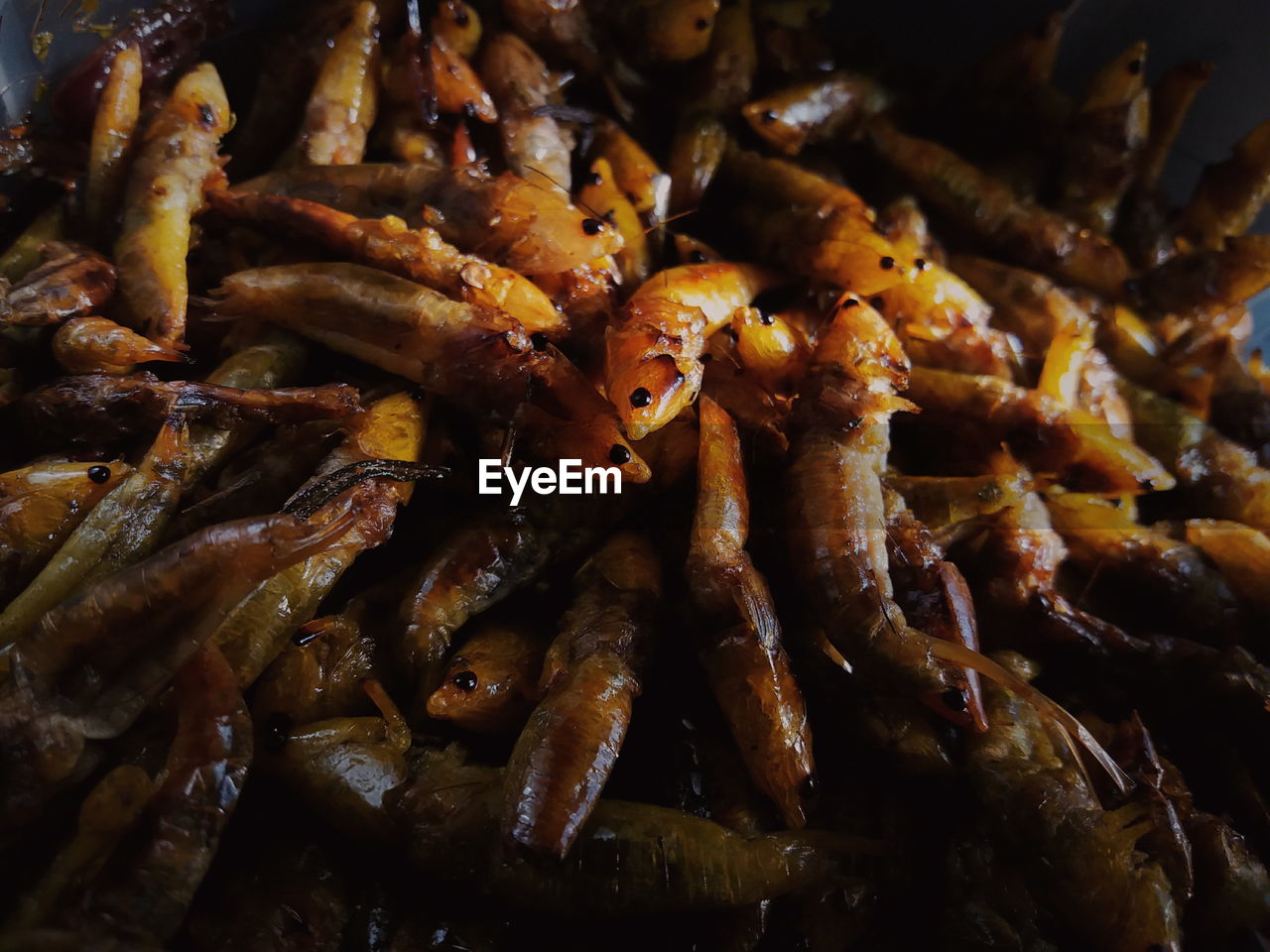 Close-up of roasted seafood