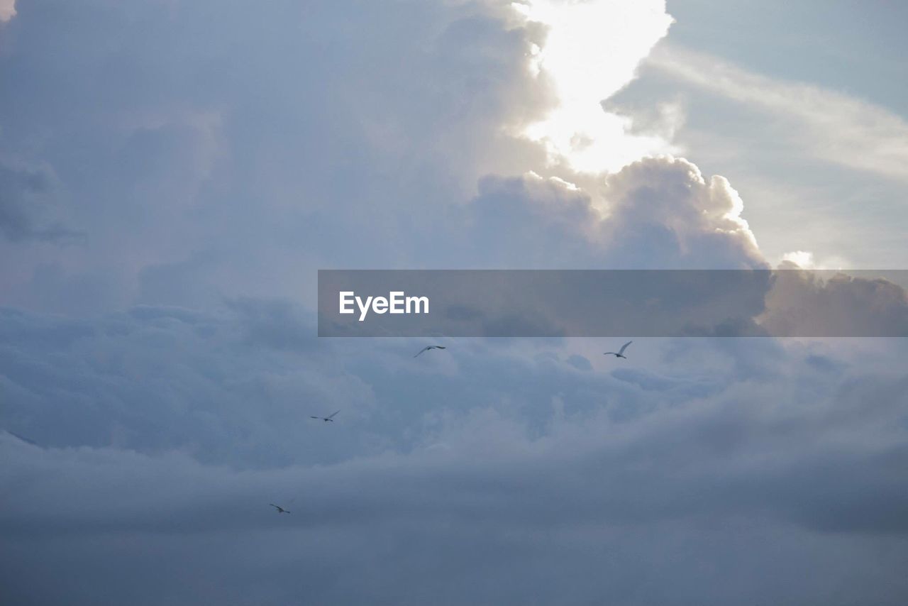 LOW ANGLE VIEW OF CLOUDY SKY