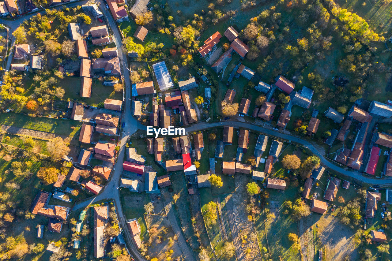 Aerial view of trees and houses in city