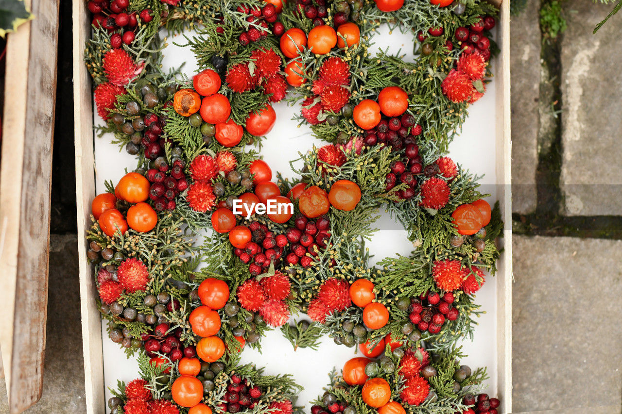 food, food and drink, healthy eating, fruit, freshness, wellbeing, no people, plant, day, produce, red, vegetable, nature, abundance, flower, large group of objects, tomato, outdoors, high angle view, organic, growth, directly above