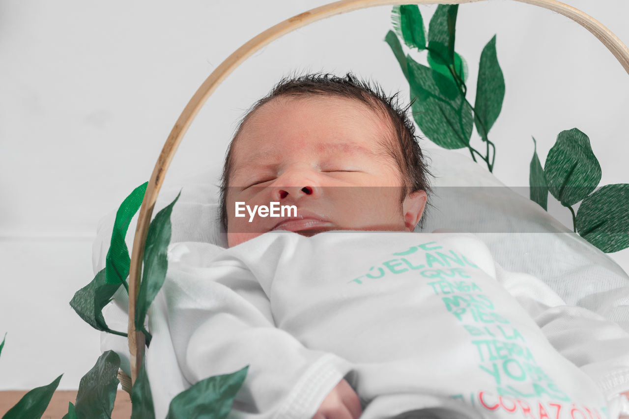 Beautiful newborn baby sleeping in bamboo fiber basket and surrounded by green leaves.