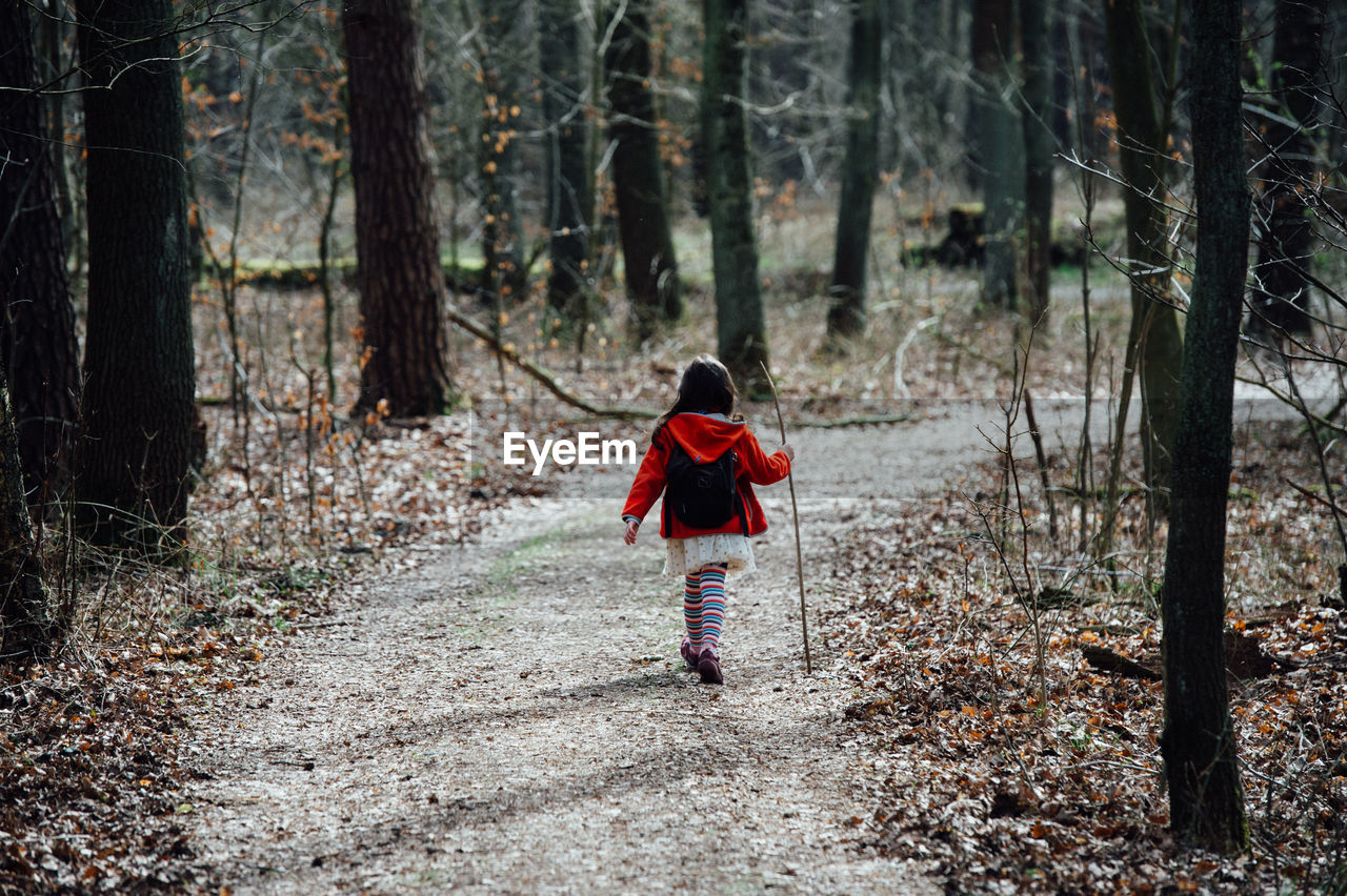 Rear view of girl walking in forest