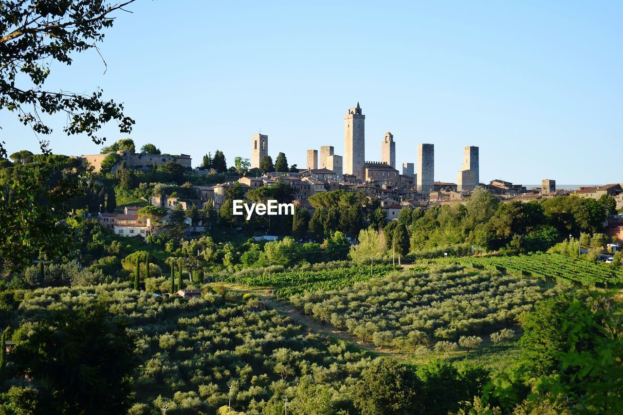 View of trees and buildings in city