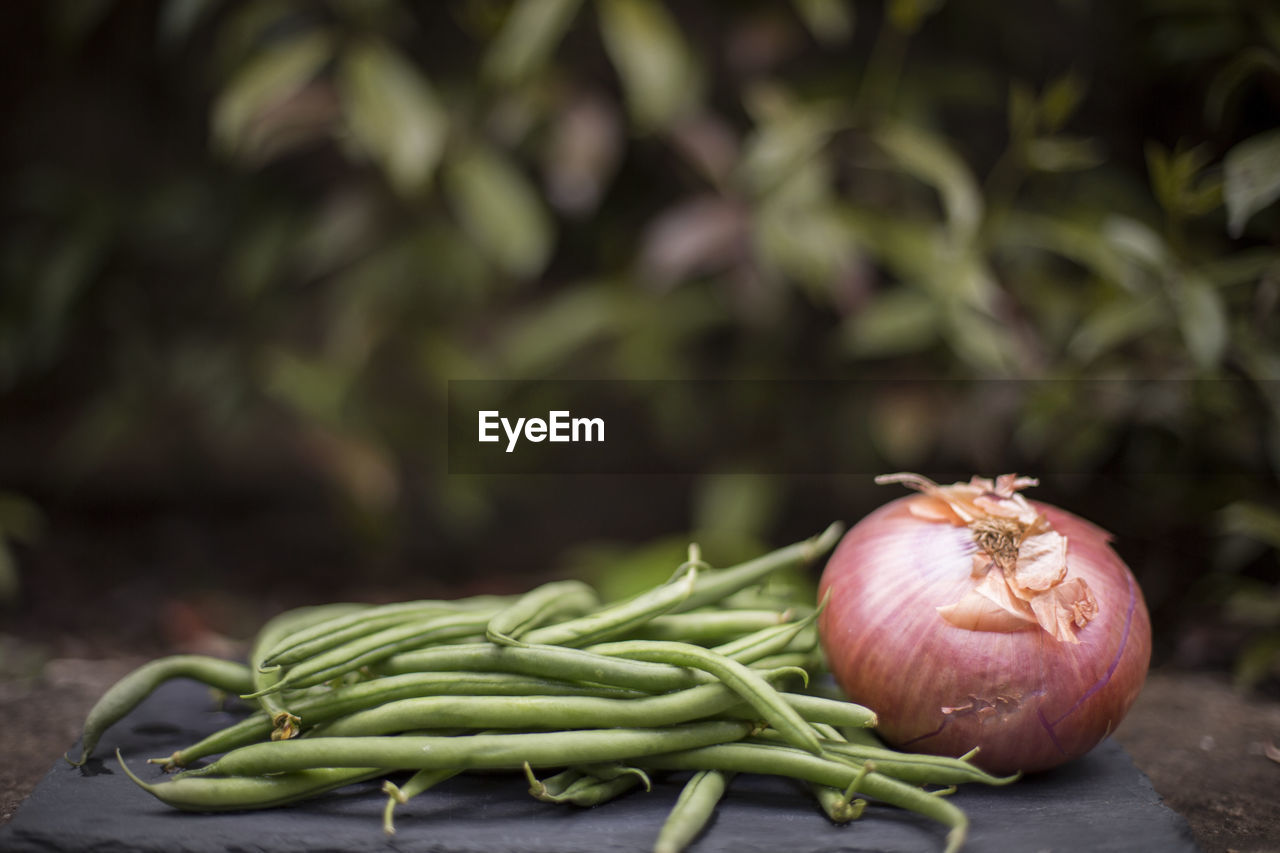 Close-up of vegetables on table