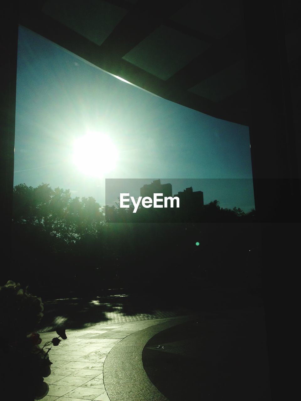 Trees and buildings on sunny day seen through window