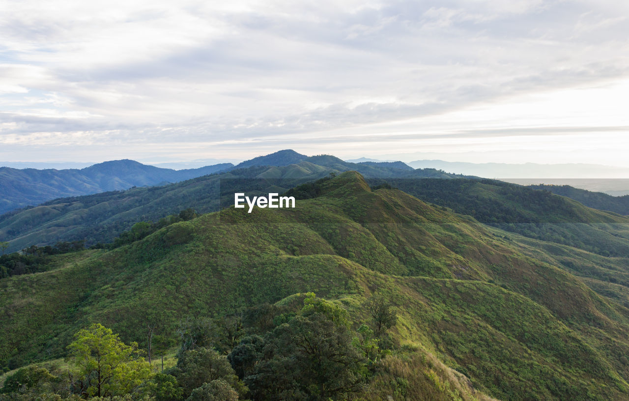 SCENIC VIEW OF GREEN LANDSCAPE AND MOUNTAINS AGAINST SKY