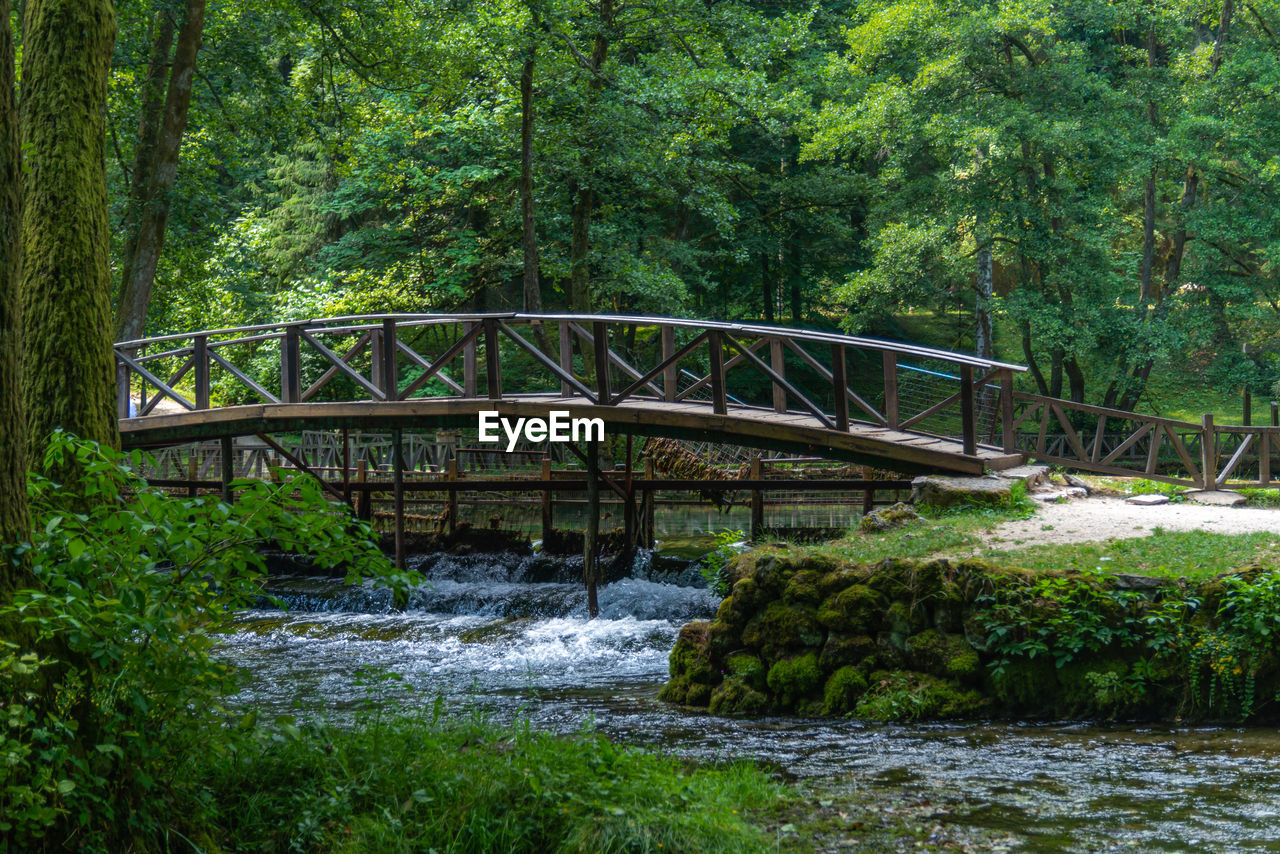 Vrelo bosne nature green park in sarajevo with water and ducks