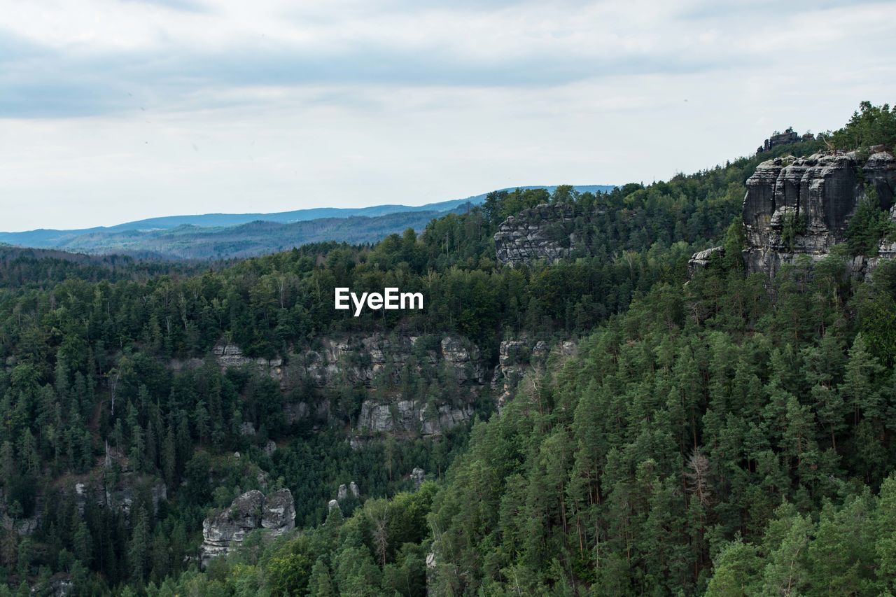 Scenic view of trees and mountains against sky