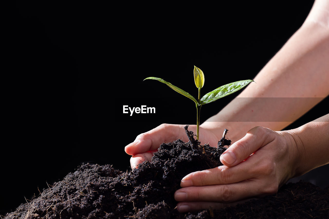 Close-up of hand holding plant against black background