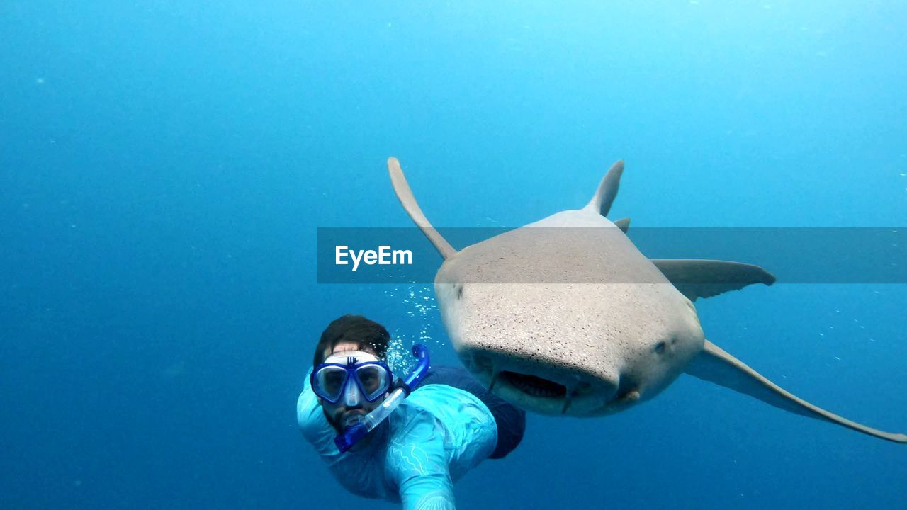 Shark following scuba diver under sea