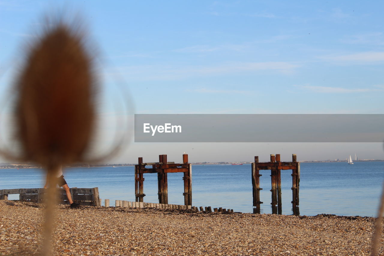 WOODEN POSTS ON BEACH