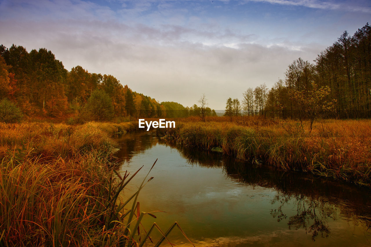 SCENIC VIEW OF LAKE AND TREES AGAINST SKY