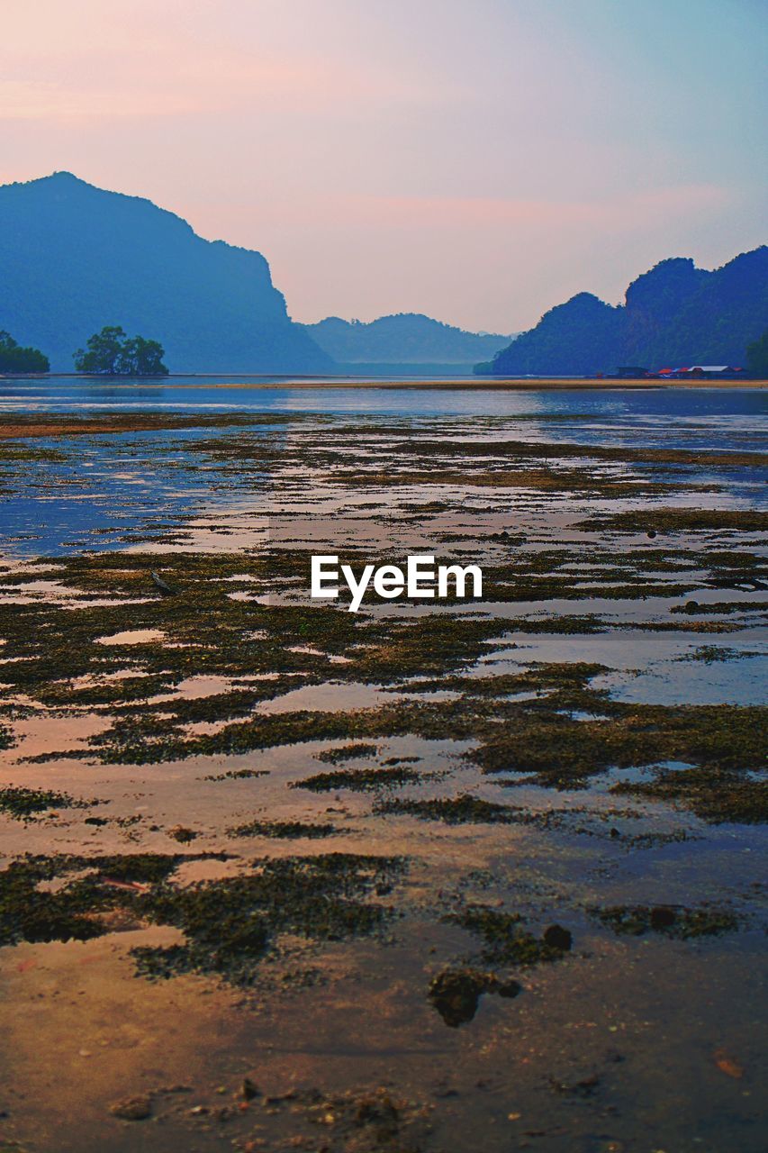 SCENIC VIEW OF SEA DURING SUNSET