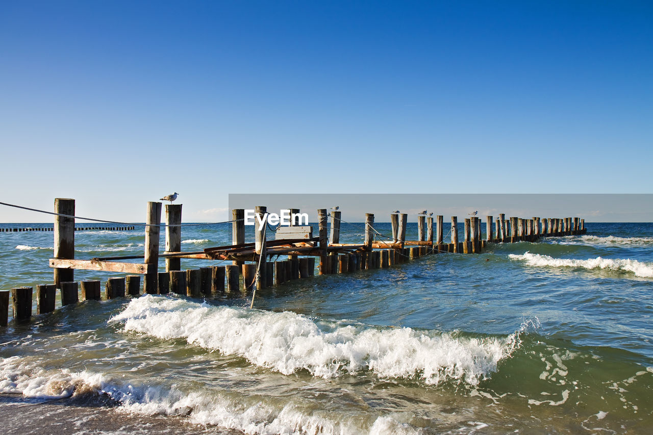 View of beach with seagulls on wooden posts against clear sky