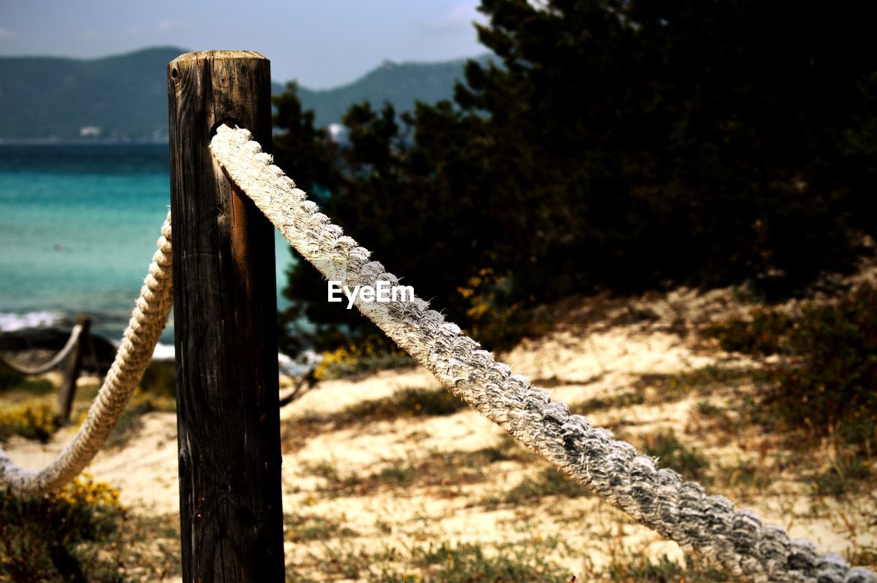 WOODEN POST ON WOODEN POST