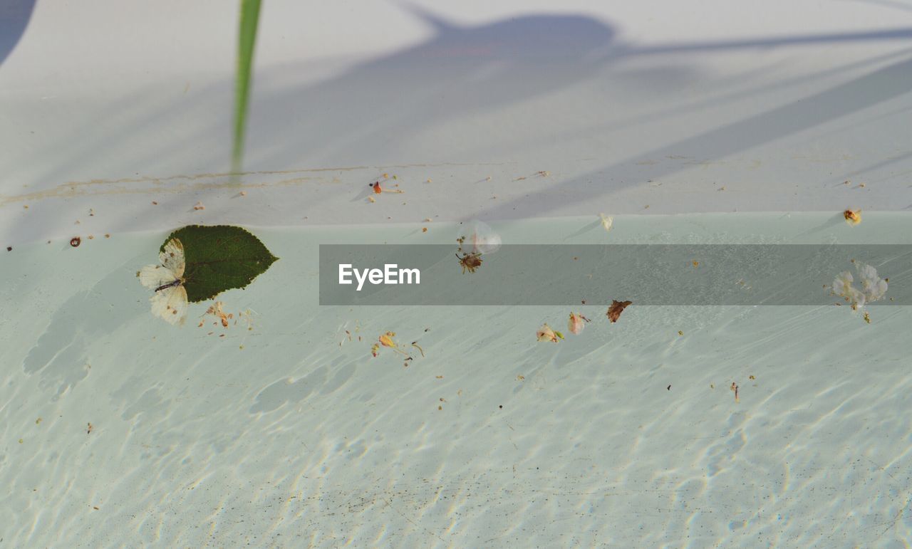 HIGH ANGLE VIEW OF SAND ON BEACH