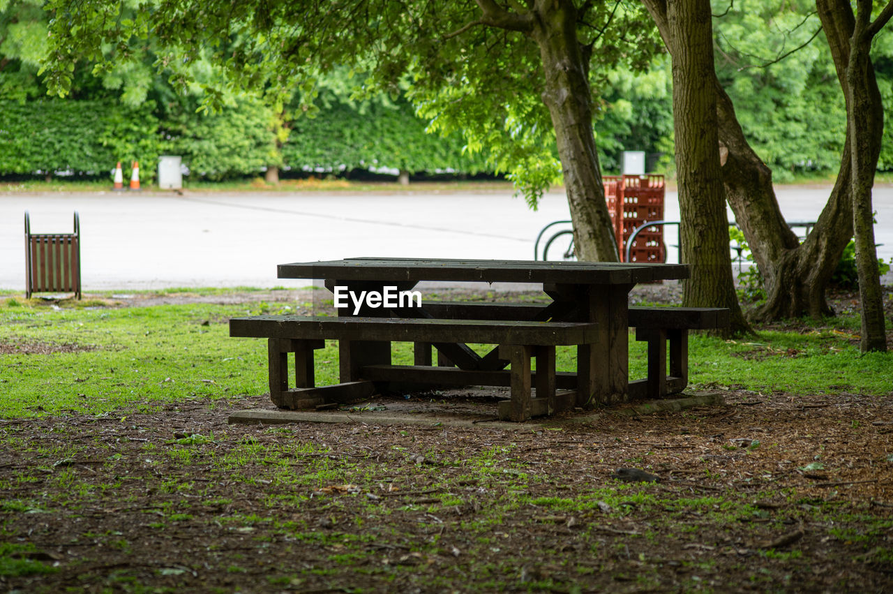 EMPTY BENCH BY TREES IN PARK