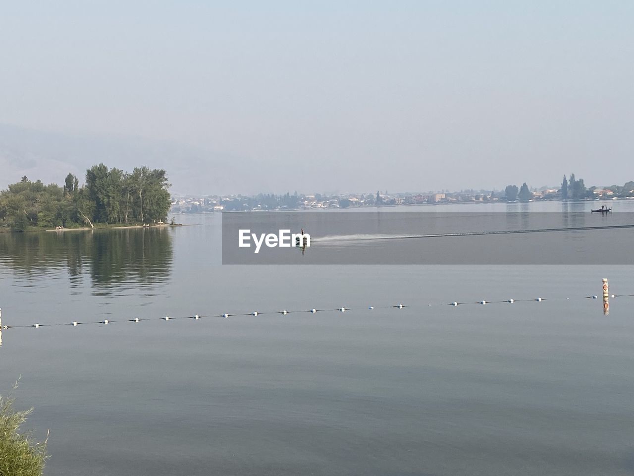 VIEW OF BIRDS IN LAKE