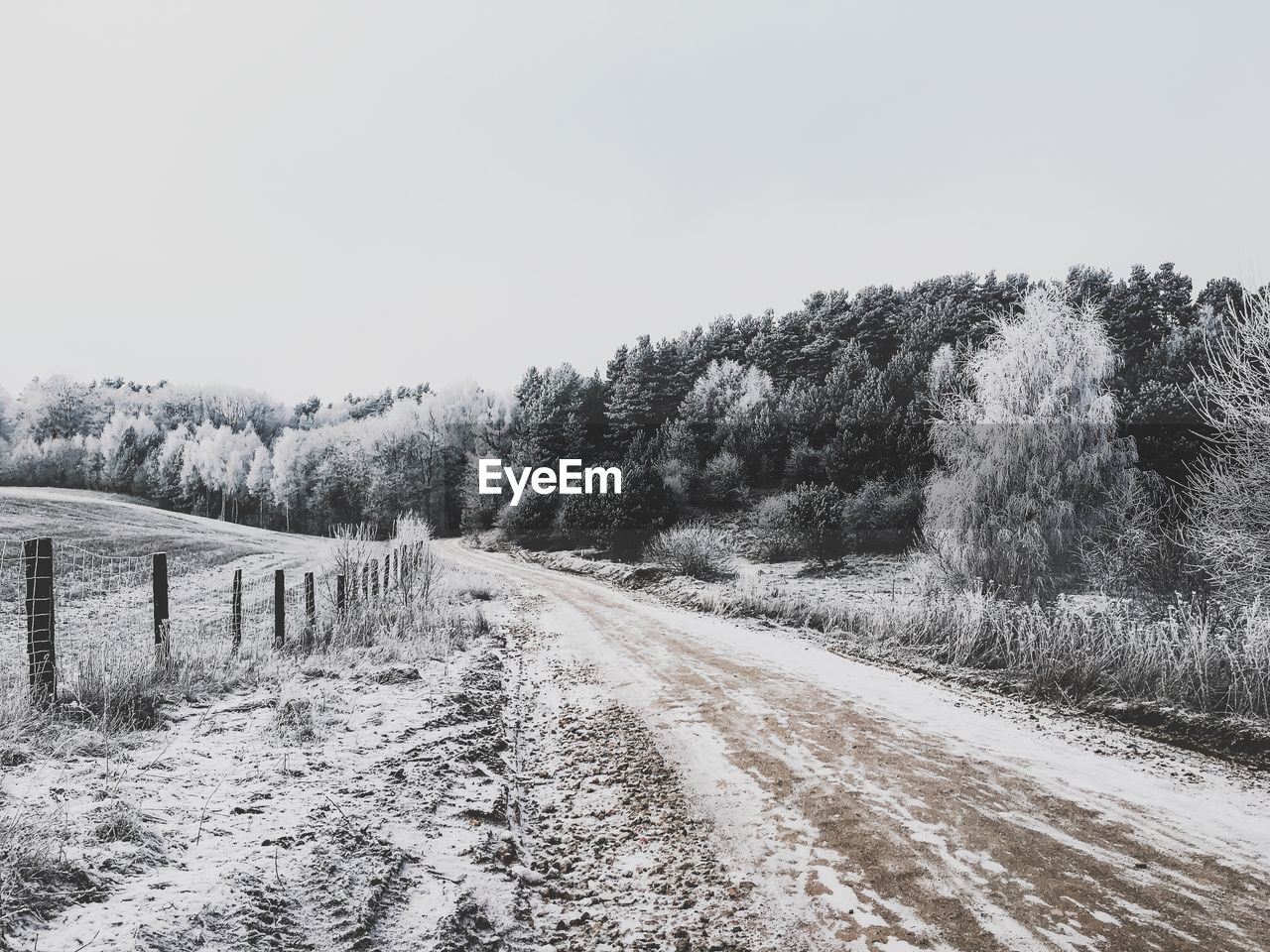 Road on field by trees against clear sky during winter