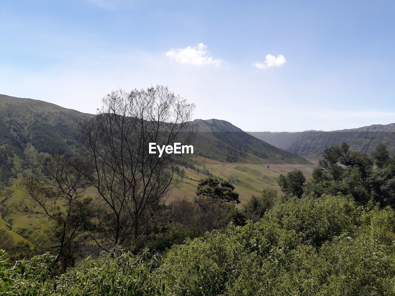 Savana bromo indonesia