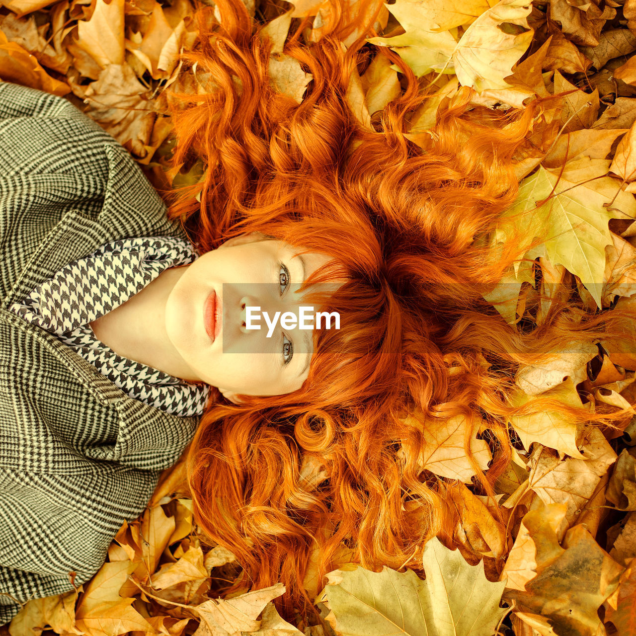 Close-up portrait of young woman lying on dry fallen leaves