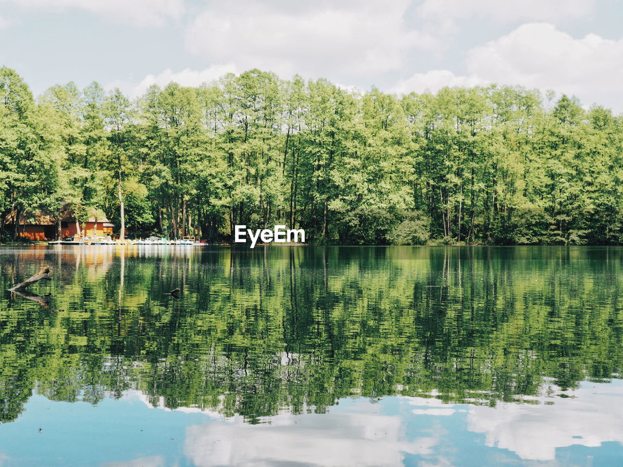 REFLECTION OF TREES IN LAKE AGAINST SKY