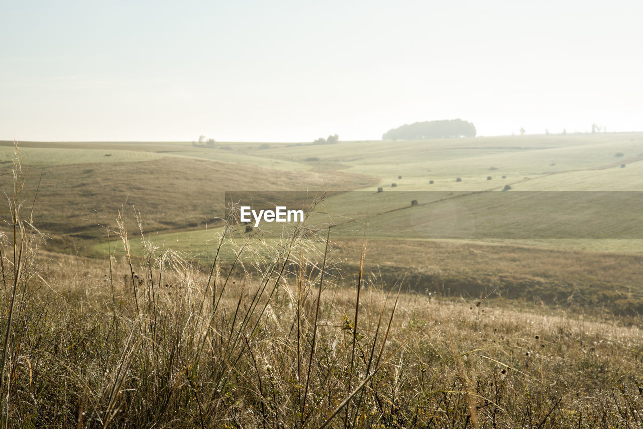 SCENIC VIEW OF FARM AGAINST SKY