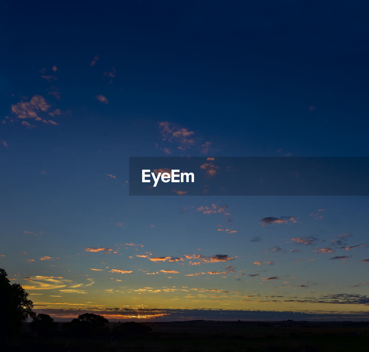 SCENIC VIEW OF SILHOUETTE TREES AGAINST SKY DURING SUNSET