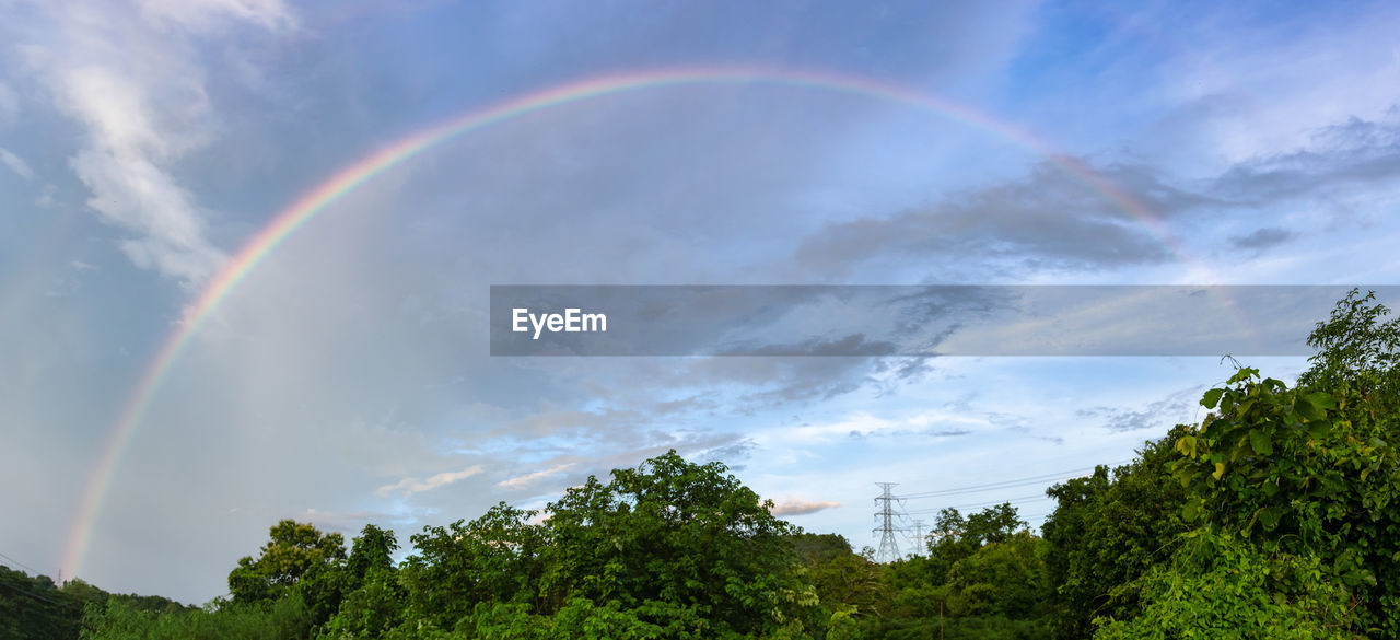 Low angle view of rainbow over trees against sky