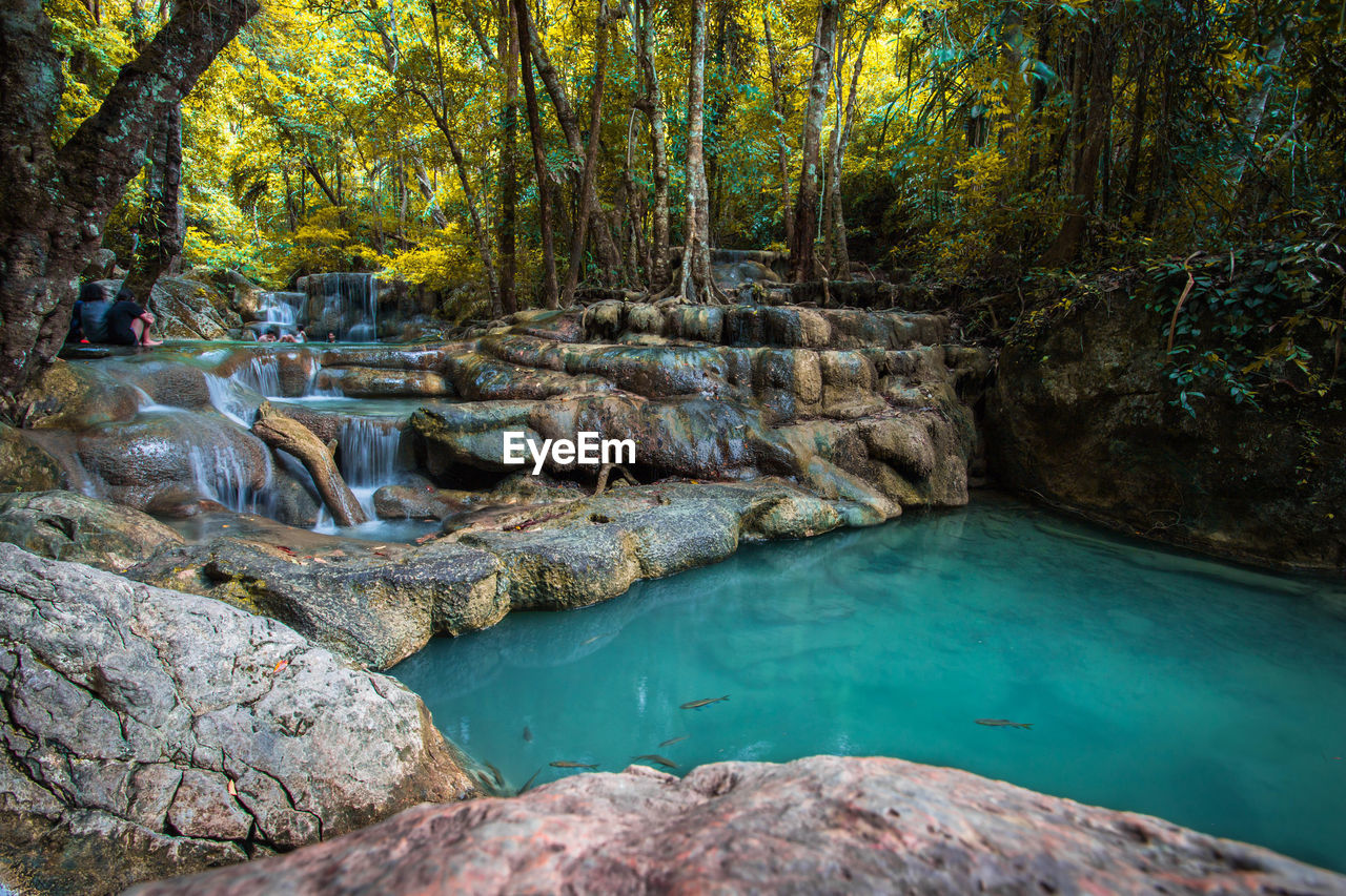 Scenic view of waterfall in forest,kanchanaburi thailand