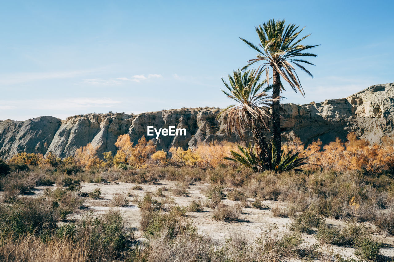 View of rock formations in a desert