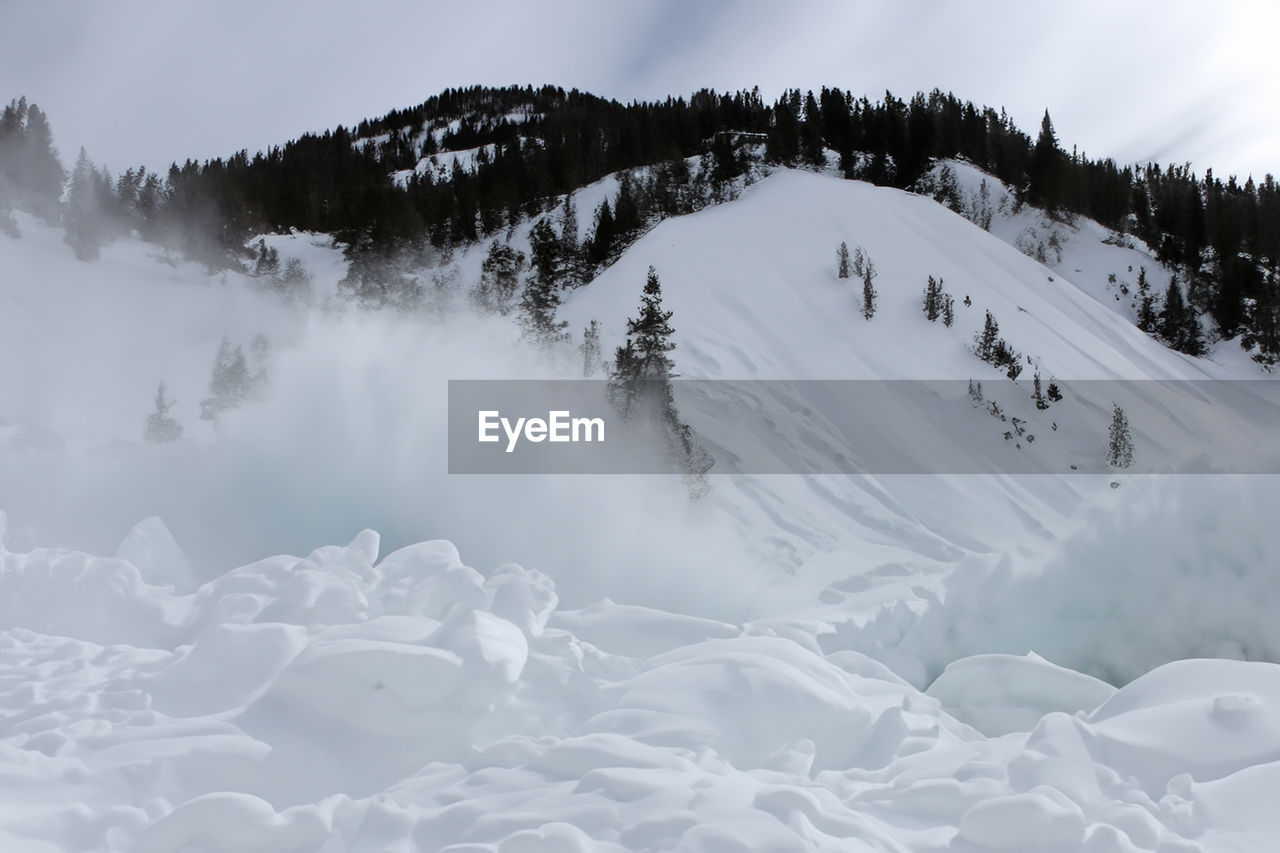 snow, cold temperature, winter, scenics - nature, mountain, environment, tree, landscape, beauty in nature, nature, forest, plant, sky, land, coniferous tree, mountain range, pine tree, cloud, pinaceae, travel, pine woodland, travel destinations, no people, woodland, non-urban scene, tranquility, piste, tranquil scene, frozen, outdoors, day, winter sports, sports, snowcapped mountain, holiday, fog, white, vacation, panoramic, leisure activity, trip