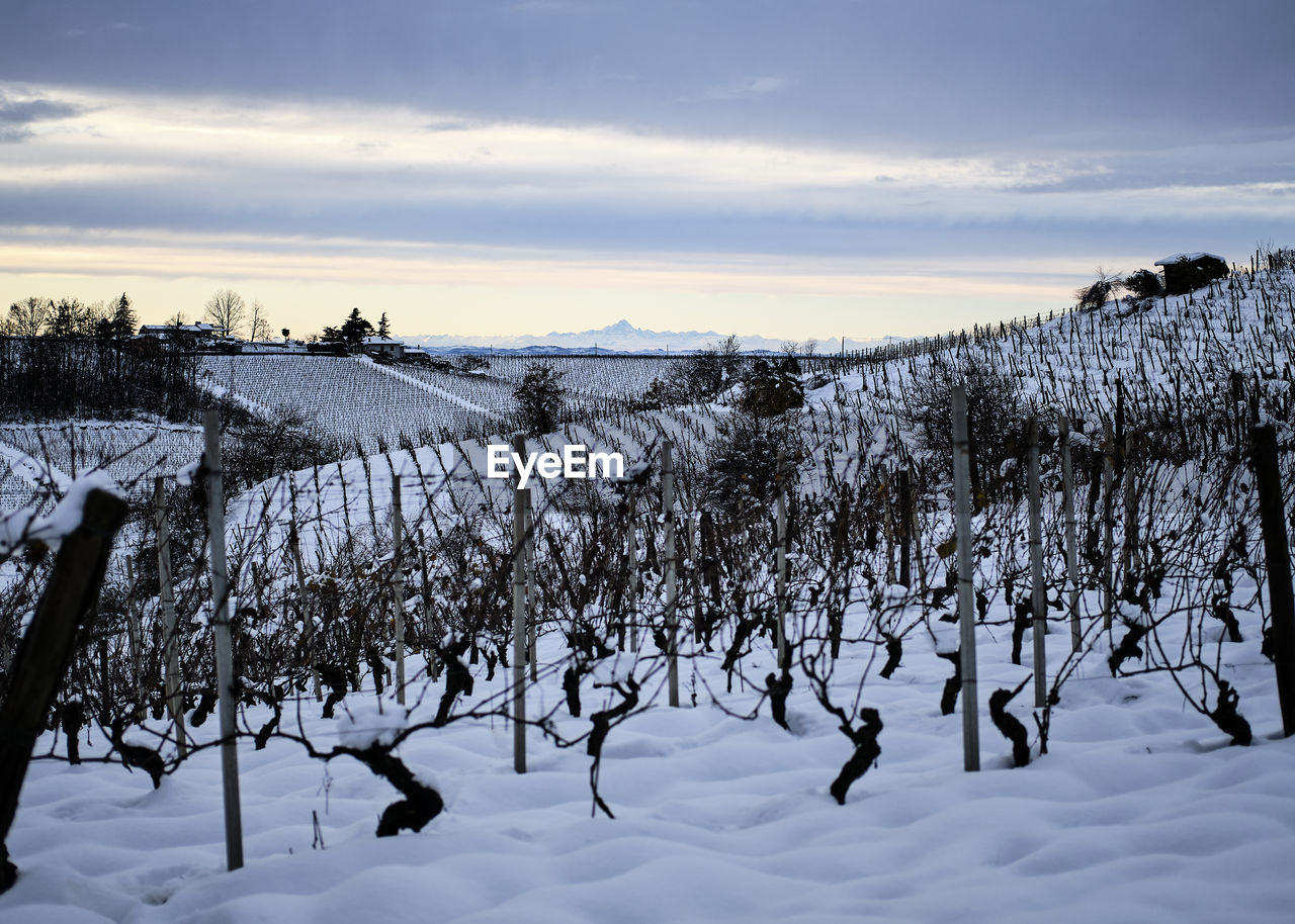 SCENIC VIEW OF SNOW COVERED LANDSCAPE AGAINST SKY DURING SUNSET