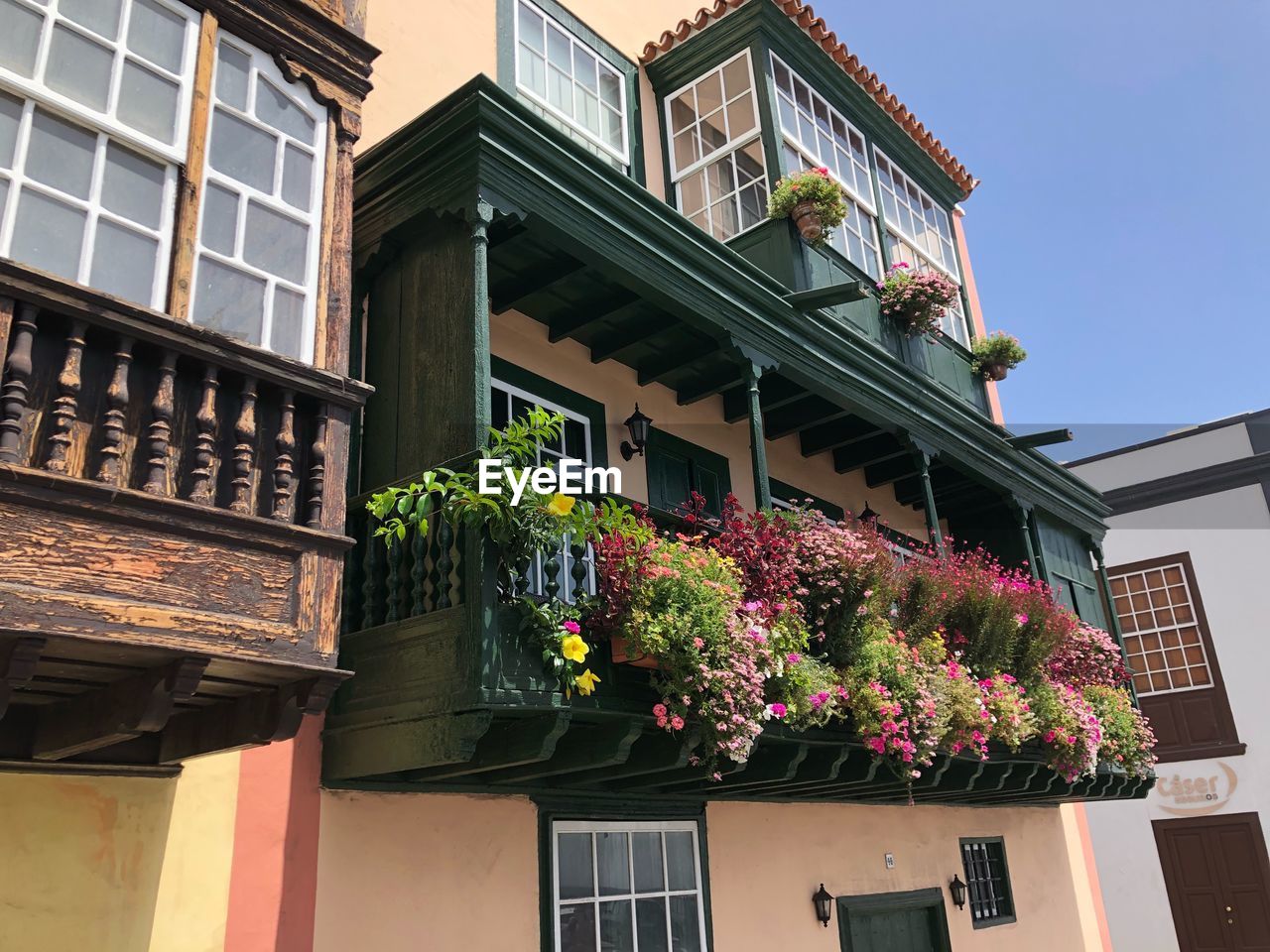 Low angle view of flower decorations at balcony