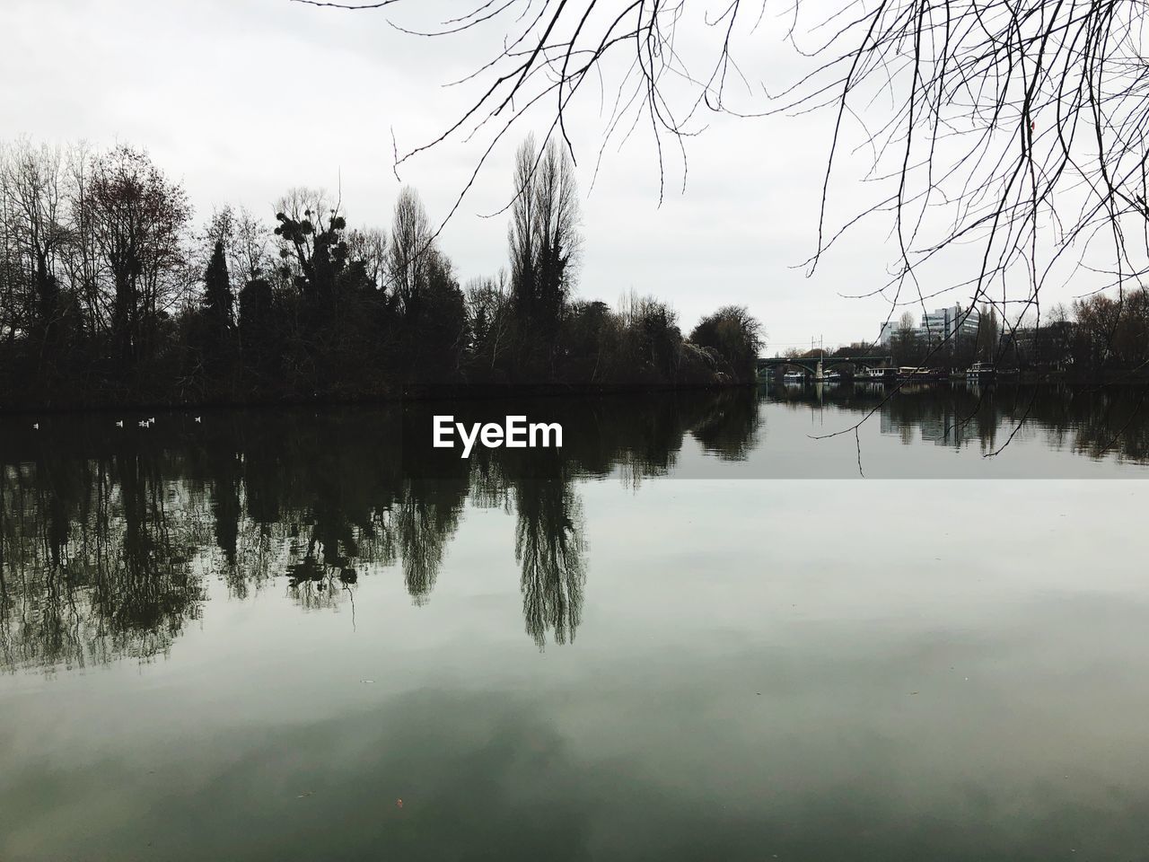 REFLECTION OF TREES AND SKY ON LAKE