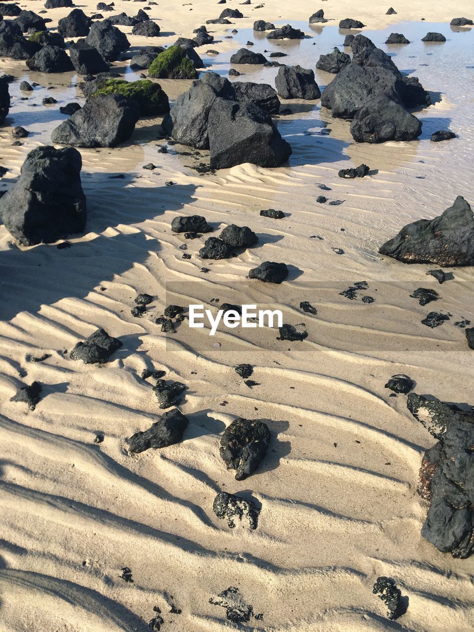 Aerial view of beach