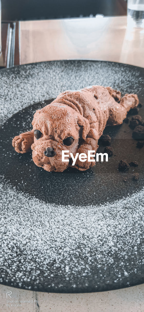 HIGH ANGLE VIEW OF COOKIES ON TABLE