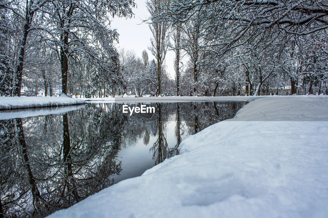 winter, tree, snow, cold temperature, plant, nature, freezing, scenics - nature, beauty in nature, tranquility, water, tranquil scene, environment, no people, frozen, bare tree, landscape, non-urban scene, day, land, frost, forest, white, lake, sky, ice, outdoors, reflection, branch, idyllic, deep snow