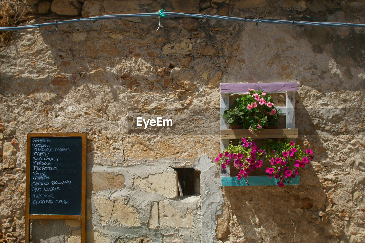 FLOWERS ON WINDOW