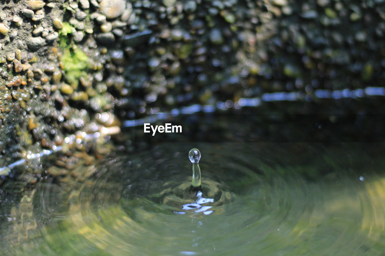 Close-up of drop falling on water