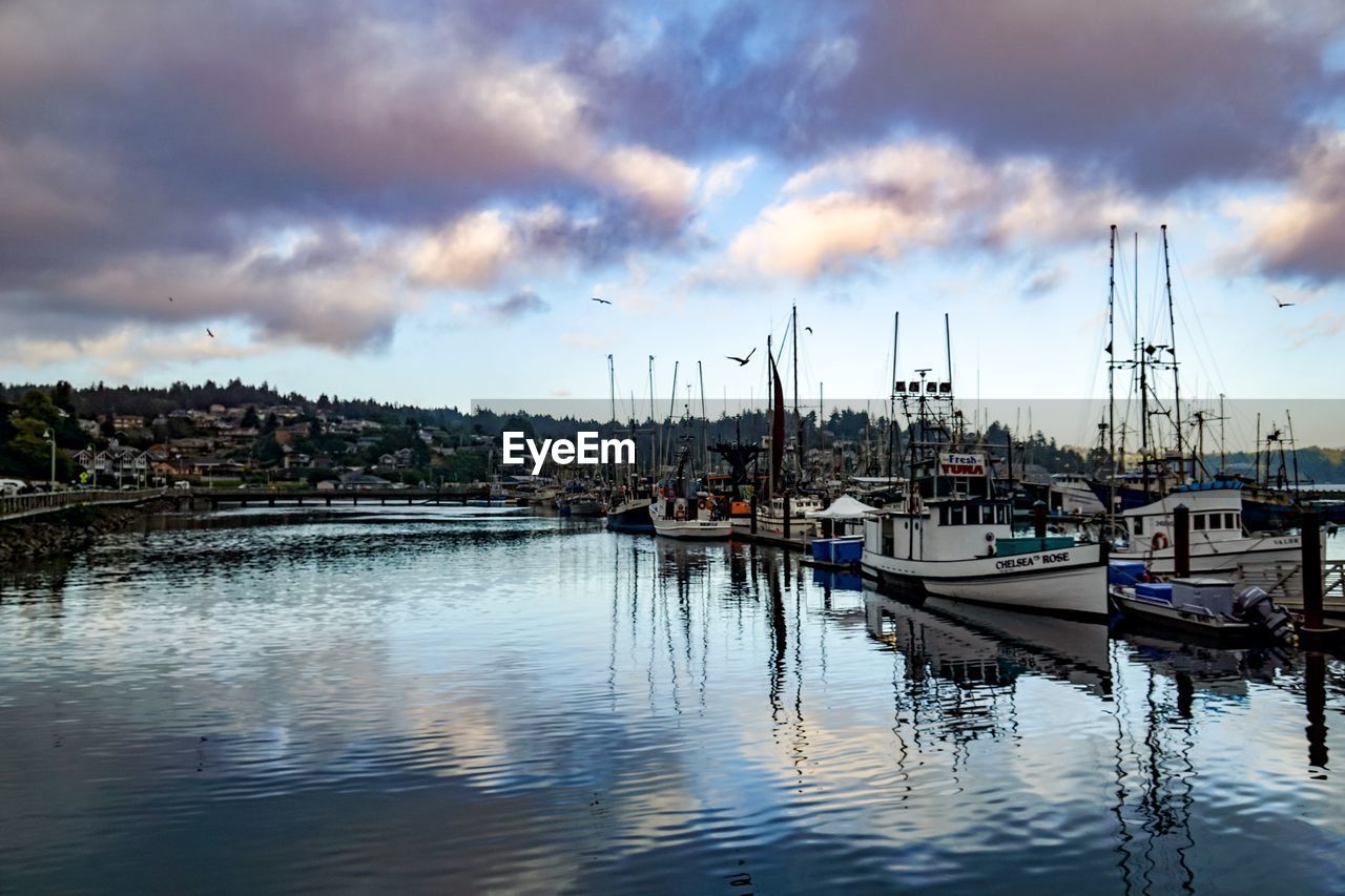 Sailboats moored at harbor against cloudy sky