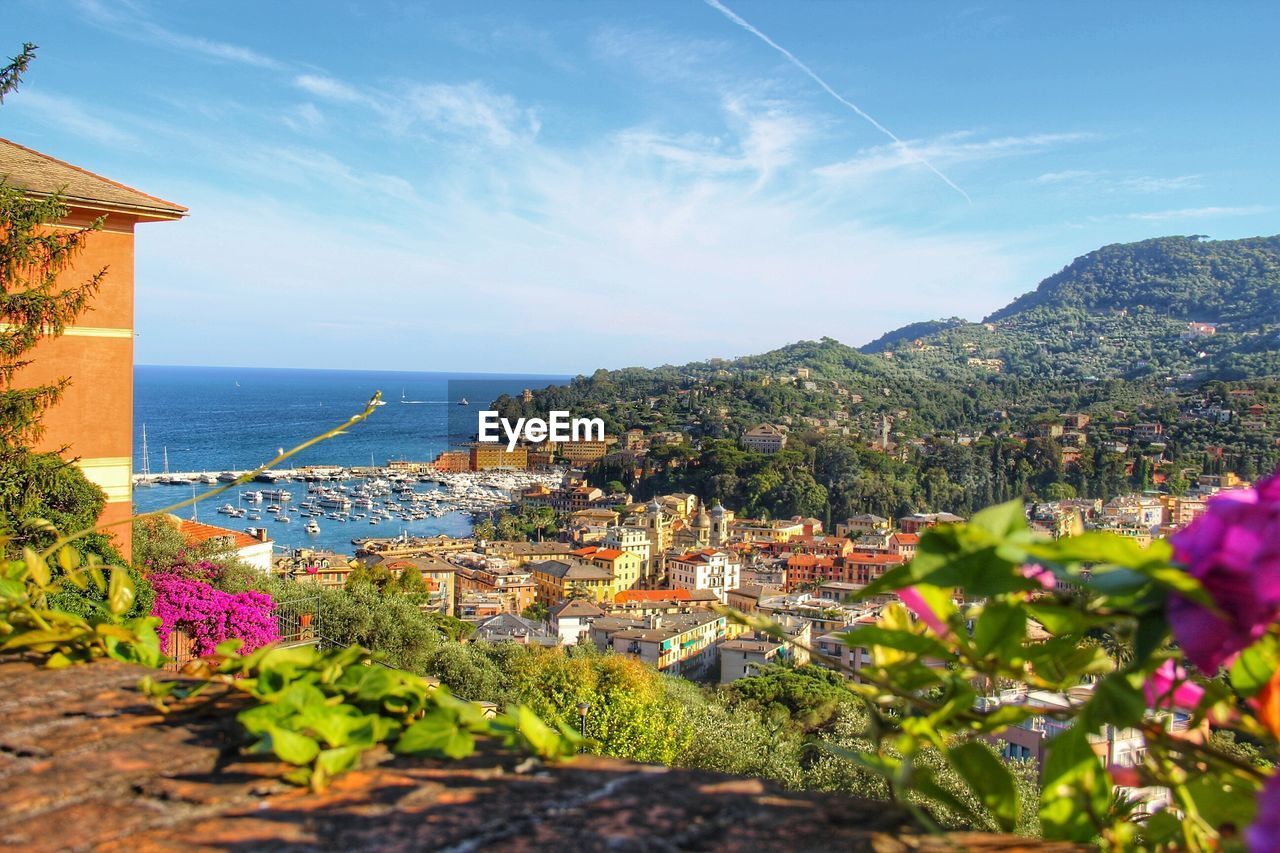 High angle view of town by sea