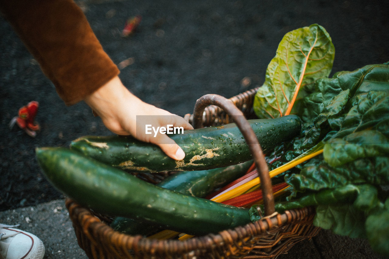 Cropped hand of woman holding vegetables in basket
