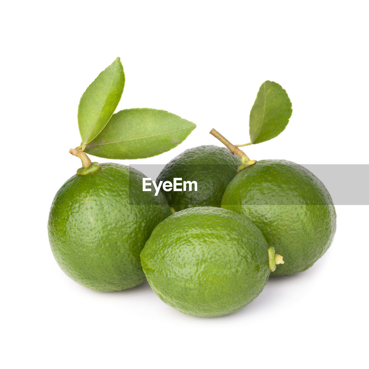 Close-up of lime fruits against white background